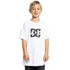 Shirttop DC SHOES "DC Star Glow", Kinder, Gr. 12(148-156cm), weiß, [Hauptstoff] 75% Baumwolle, 25% Baumwolle, Tops