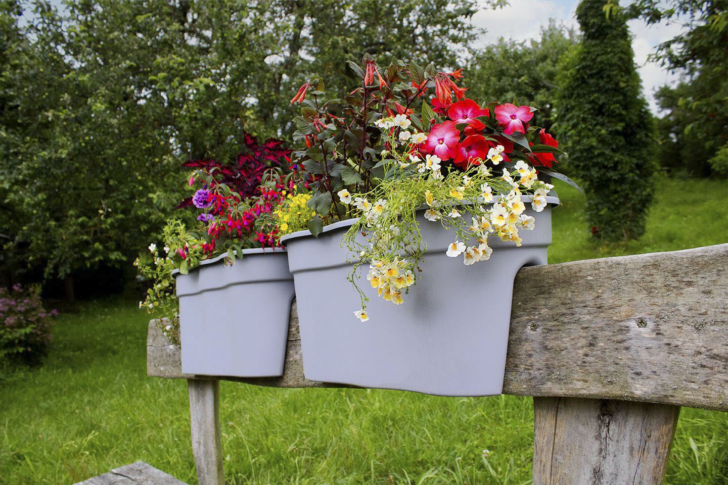 Balkonkasten KHW "Flowerclip XXL", grau (granitgrau), B:57,5cm H:27cm T:27,7cm, Kunststoff, Polypropylen, Pflanzgefäße, BxTxH: 57,5x27,7x27 cm Image