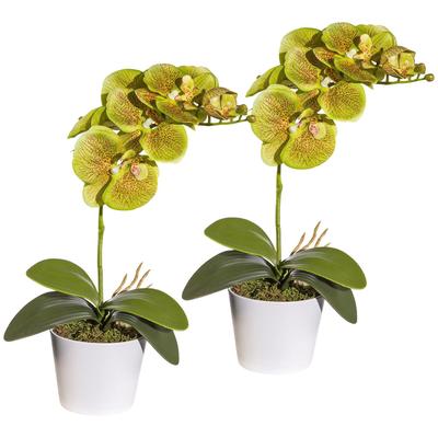 Kunstpflanze CREATIV GREEN "Orchidee Phalaenopsis", grün, H:40cm, Polyester, Kunststoff, Kunstpflanzen, im Keramiktopf