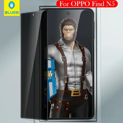 Blueo Privacy gehärtetes Glas für Oppo Find N5, Anti-Spionage-Displayschutz für OPPO FIND N5