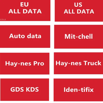 2025 Alldata Software Online for Auto Data Haynes-Truck Mit-chell Iden-tifix Workshop Repair