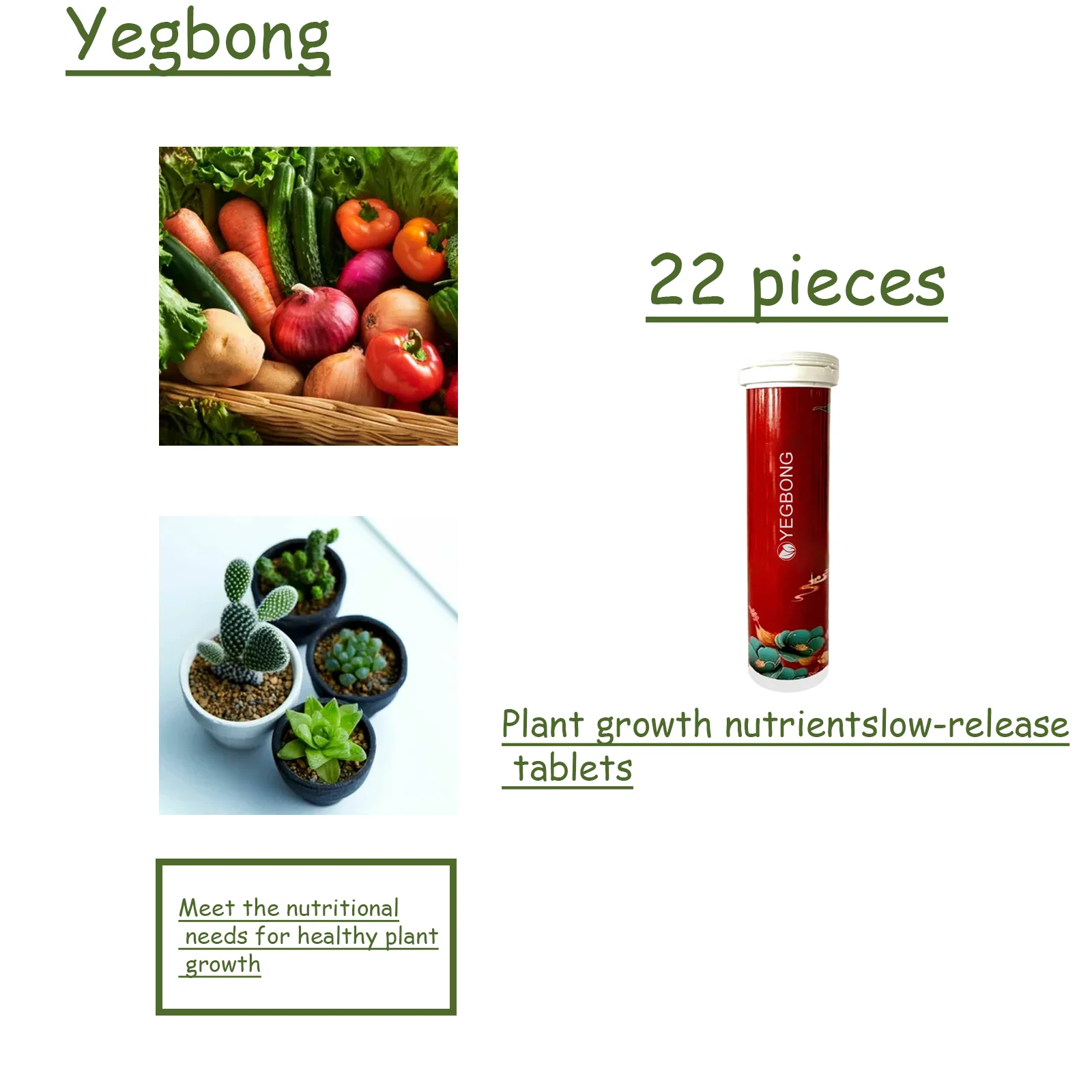 22-teilige Bio-Pflanzendünger-Tabletten mit langsamer Freisetzung für Topf-Sukkulenten – Wachstumsernährung, Gartenarbeit, langsames Freisetzungsmittel Image