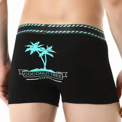 4 Stück Herrenunterhosen, atmungsaktive Unterhosen und individuell für Männer, Hodensackunterstützung Image