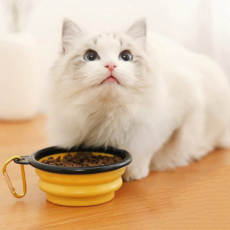 Neuer zusammenklappbarer 1000 ml zusammenklappbarer Silikonschüssel für Haustiere, Outdoor, Reisen, tragbarer Futterbehälter für Welpen und Kätzchen Image