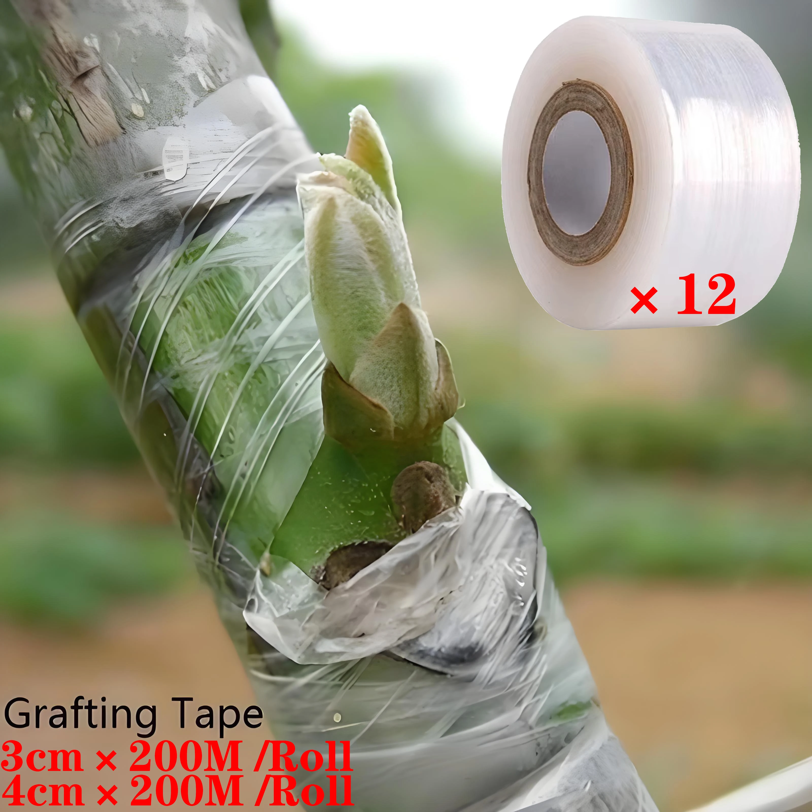 PE Selbstklebende Pfropfbandfolie, dehnbar, für Garten, Baum, Pflanzen, Sämlinge, Weinreben, Tomaten, Pfropfzubehör, Obstbaum Musichting Image