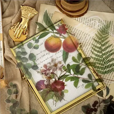 Card image cap