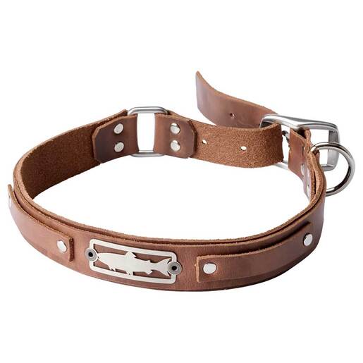 Orvis X Sight Line Provisions Dog Collar - Brown 20in - 24in