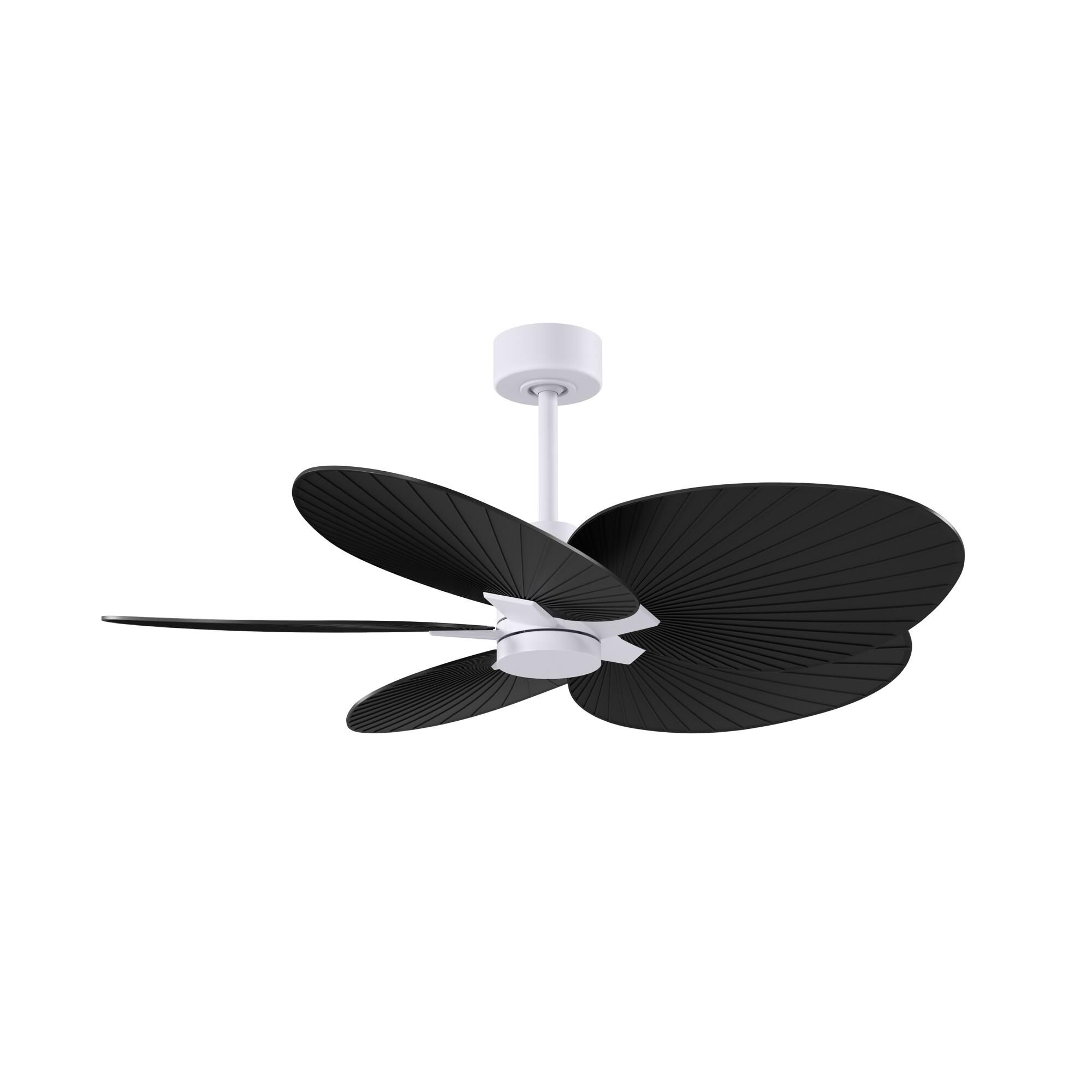 Matthews Fan Company Alessandra Tropical 48 Inch Ceiling Fan - AKTP-MWH-BK