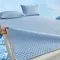 Summer Mat Simple Style Bed Sheets Single Piece Student Dormitory Household Air Conditioning Soft Mat Soft Comfortable Bed Sheet