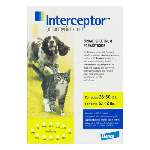 Interceptor für mittelgroße Hunde 26-50 lbs (gelb) 6 Kausnacks