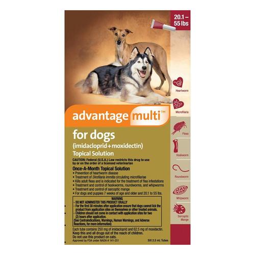 Advantage Multi (Advocate) Große Hunde 20.1-55 Lbs (Rot) 6 Dosen