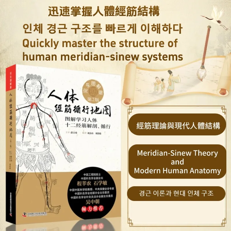 Gesundheits- und Wellness-Leitfadenbuch Human Meridian-Sinew Pathway Map“ Image