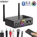 Bluetooth 5.3 Trasmettitore Audio Ricevitore Karaoke 6.5MM 3.5MM AUX RCA USB Coassiale Adattatore Wireless Ottico per TV PC Altoparlante Per Auto