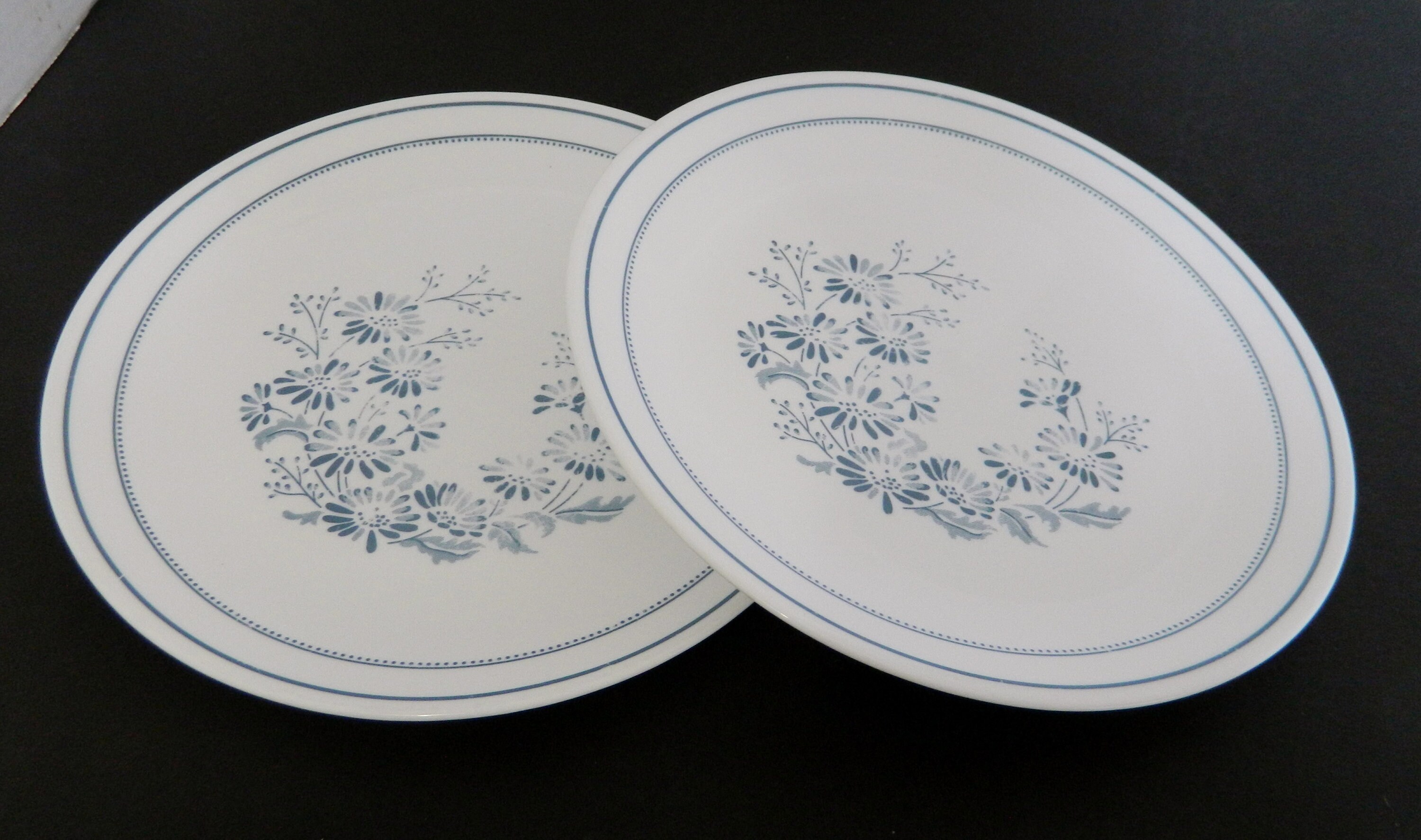 Assiettes plates Colonial Mist Corelle by Corning Lot de deux fleurs bleues bande bleue