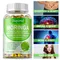 Moringa - Boost Immune System, Support Bone Health, Promotes Digestive Health, Helps Detox, Fat Burn