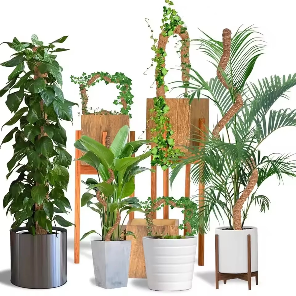 1/2PCS Anlage Moos Kokos Pole Biegsamen Pflanzen Klettern Unterstützung Verlängerung Palm Reben Stick Balkon Garten Hof Blume decor Image