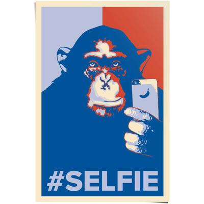 Poster REINDERS "Selfie Affe", blau (farbe bild(er): blau), B:61cm H:91,5cm, Papier, Bilder Image