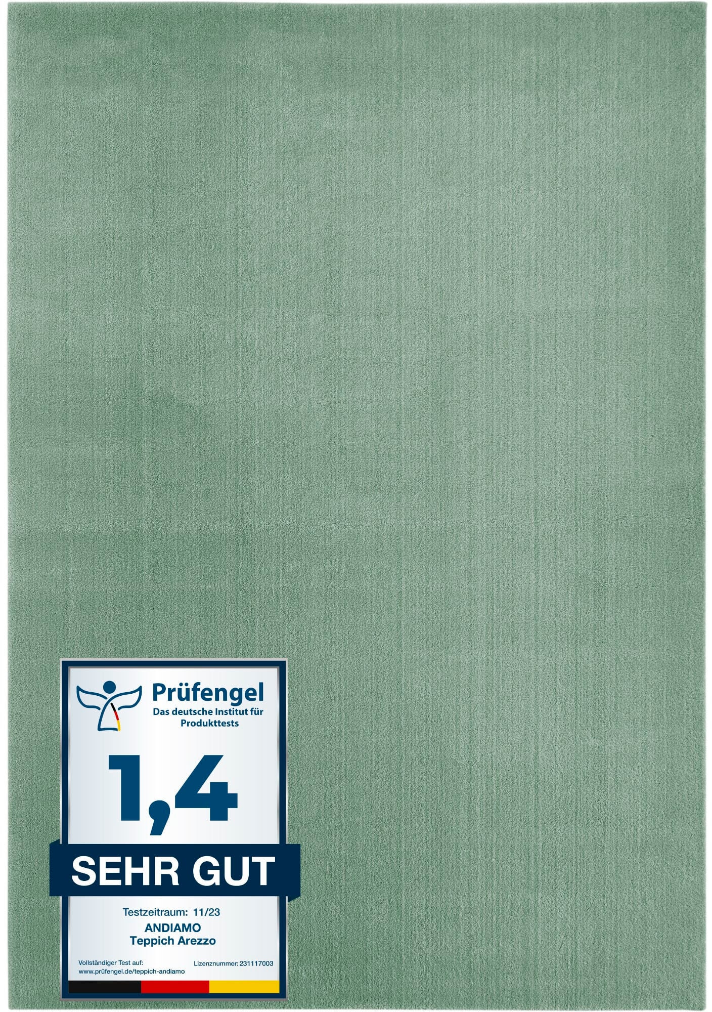 Teppich ANDIAMO "Arezzo", grün (salbeigrün), B:120cm H:16mm L:170cm, Polyester, Teppiche, Uni Farben, weicher Flor, waschbar, ideal im Wohnzimmer & Schlafzimmer Image