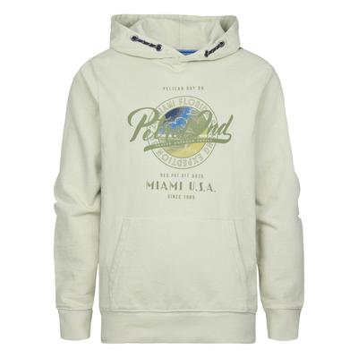 Petrol Industries - Hoodie mit Aufdruck Grove Jungen - Grün Image