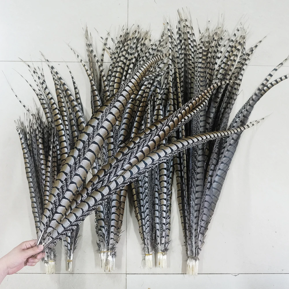 10 Stück Fasanenfeder, natürlich, lang, Größe 90–120 cm, Fasanen-Seitenschwanzfeder für Karneval/Samba/Burlesque-Kostümdekoration