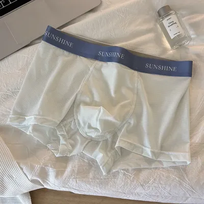 Nahtlose Herren-Unterhose, ultradünn, Eisseide, transparent, leicht, schnell trocknend, elastisch, sexy, mittelhohe Boxershorts mit U-konvexem Beutel Image