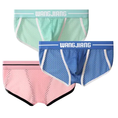 3PCS Herrenunterwäsche, elastisches Netz, bequem, atmungsaktiv, hohe Gabel, Jugend, Eisseide, Herren-Slip, Komfort Image