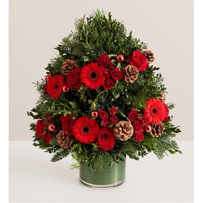 1-800-Flowers Seasonal Gift Delivery Crimson Christmas Tree Large