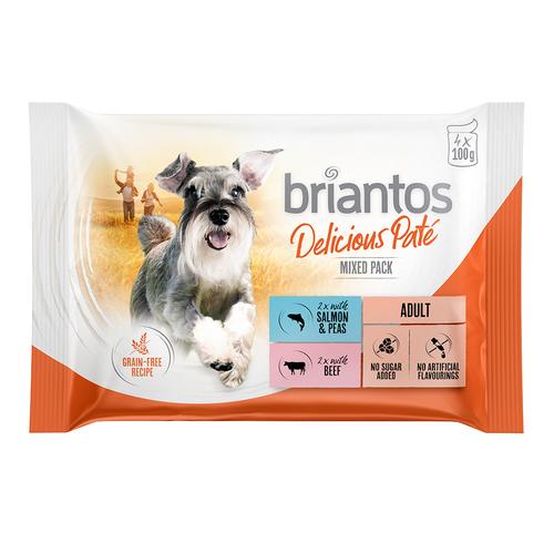 48x100g lot mixte : saumon & bœuf Delicious Paté Briantos nourriture humide pour chien