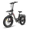 FAFREES F20 Max 1000W Bici elettrica 20" Fat Tire Pieghevole E-bike 48V20AH Batteria rimovibile MTB Mountain Bike da esterno per adulti