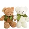 Orsacchiotto Giocattoli di peluche Orsacchiotto Bambole di peluche Vestito carino Orsacchiotto Giocattoli di peluche Bambole regalo di compleanno Giocattoli di peluche Ragdolls Bambole