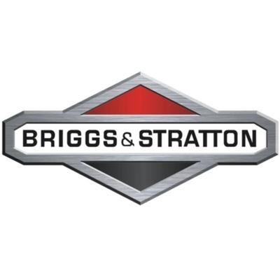 BRIGGS & STRATTON Original Rasenmähermotor-Einlassventil 261055S Image