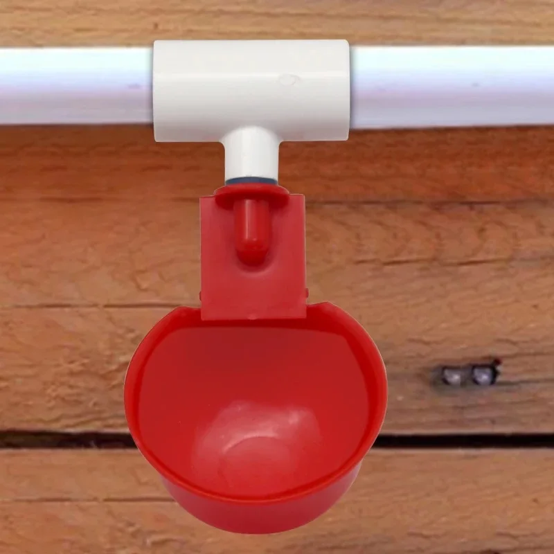 Automatischer Hühnertrinknapf, roter automatischer Wasserspender für Hühner und Enten mit flachem Kopf, Trinkbecher, Wassersystemzubehör