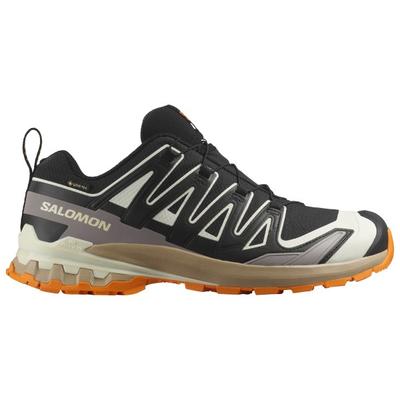 Salomon - XA Pro 3D V9 GTX - Multisportschuhe 46 | EU 46 grau Image