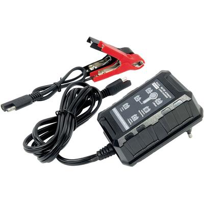 BAAS BA150 BA150 Automatikladegerät 6 V, 12 V Image