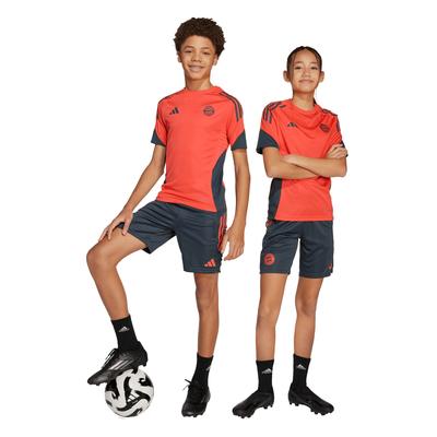 FC Bayern München Tiro 25 Competition Kids Trainingsshorts Image