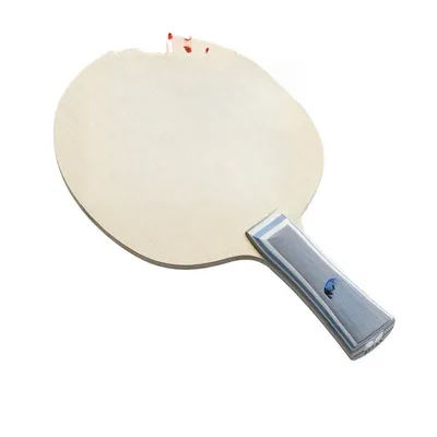 Grundplatte für Tischtennis, Tischtennisschläger, professionell, Sport Image