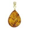 Ketten-Anhänger OSTSEE-SCHMUCK "Ostsee-Schmuck Anhänger Tropfen ca. 22 mm lang - Gold 585/000", gelb, Schmuckanhänger, Damen, 32 x 14mm, Bernstein, 2.9 g