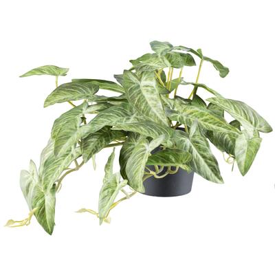 Kunstpflanze CREATIV GREEN "Alocasia", grün (grüncreme), H:40cm Ø:24cm, Kunststoff, Kunstpflanzen, mit naturgetreuem Blattwerk
