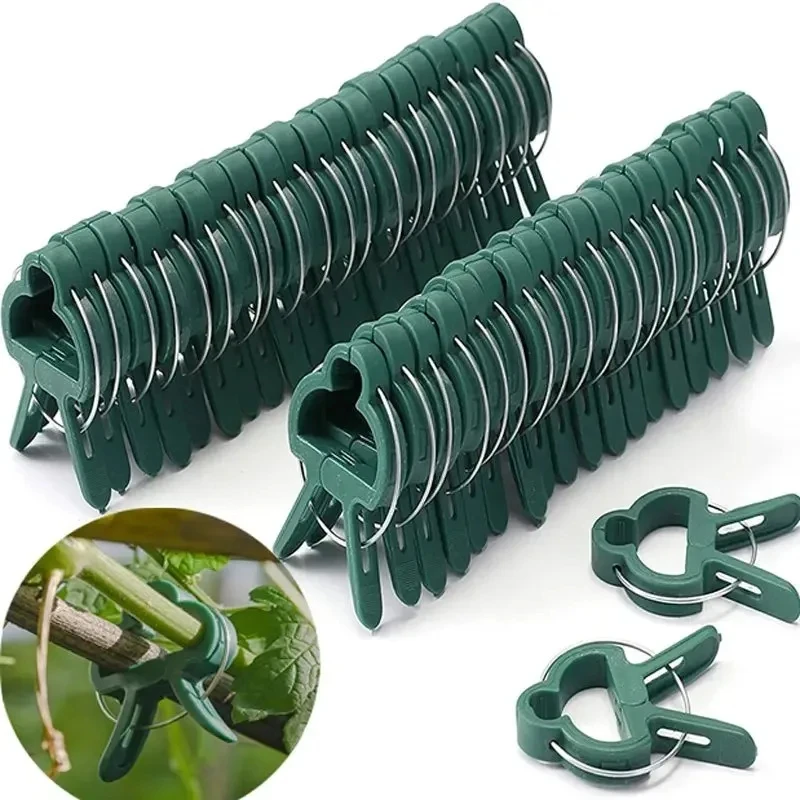 10PCS Pflanze Feste Clips Wiederverwendbare Garten Gewächshaus Halterung für Feste Pflanzen Reben Blume Sämling Stem Unterstützung t Garten Liefert Image