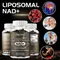 Liposomal NAD Supplement - Support Cellular Health, Stamina & Healthy AgingSupplements
