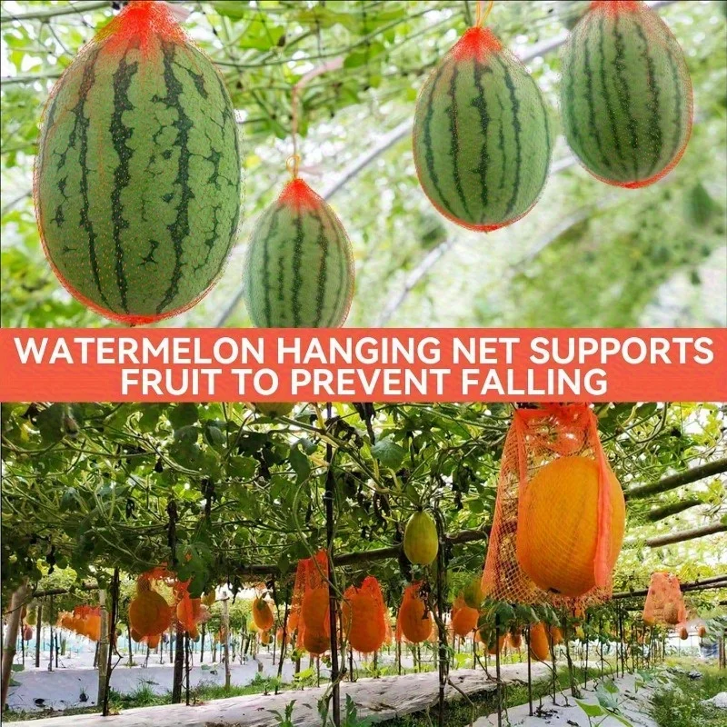 100 eine langlebige Melonen-Hängematte mit Wassermelonennetz, geeignet für den Garten, wiederverwendbare Netztasche, geeignet für Melone, ideale Ständerunterstützung. Image