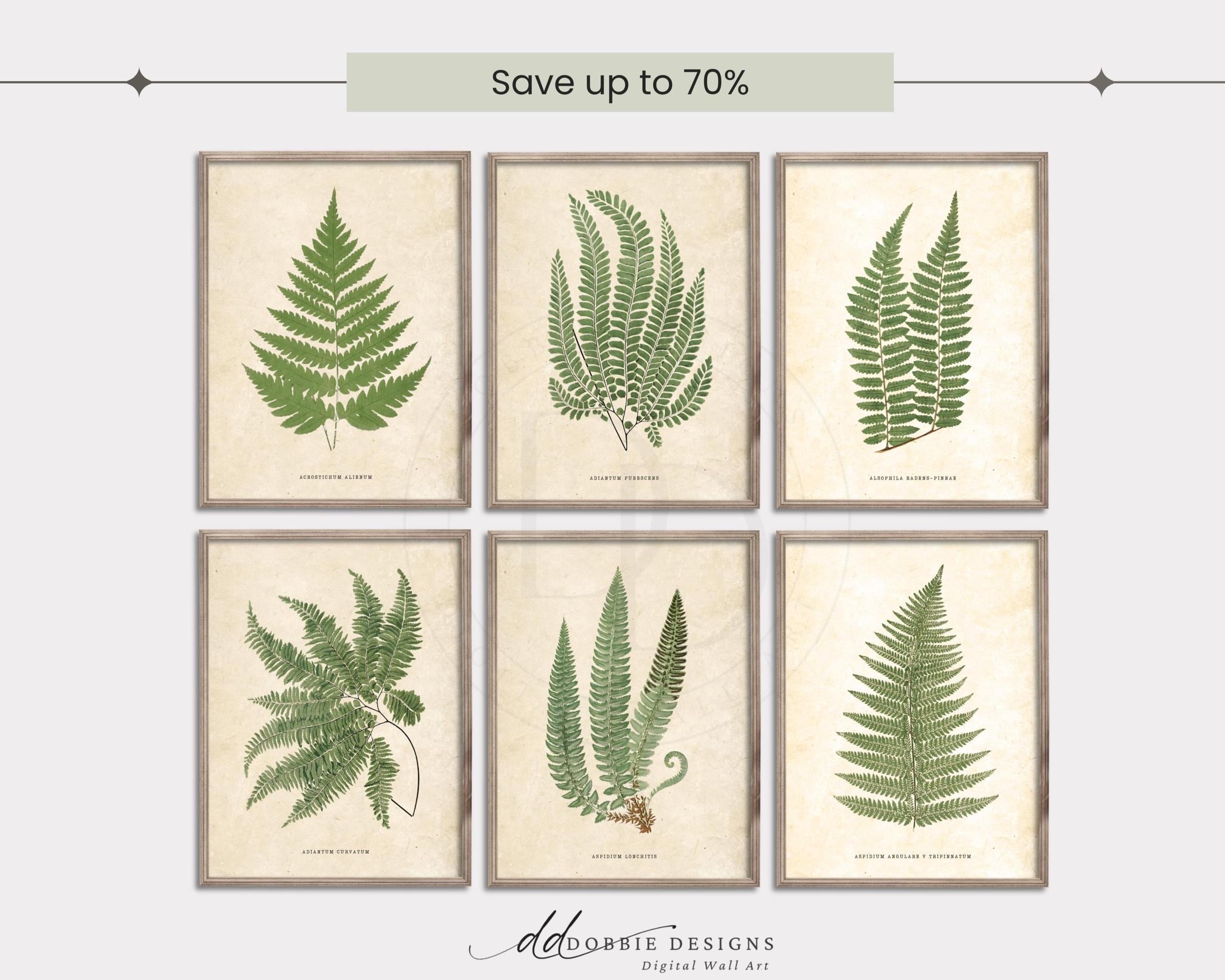 Set di 6 stampe vintage di felci, stampe artistiche botaniche vintage da parete, set di opere d'arte illustrative in stile rustico e botanico neutro 2