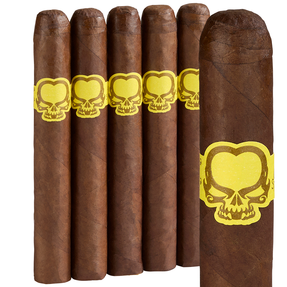 Asylum Split Personality - Pack of 5 Toro
