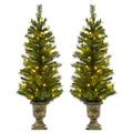 Set of 2 Light Up Prelit Artificial Pine Indoor/Outdoor Pathway Christmas Trees