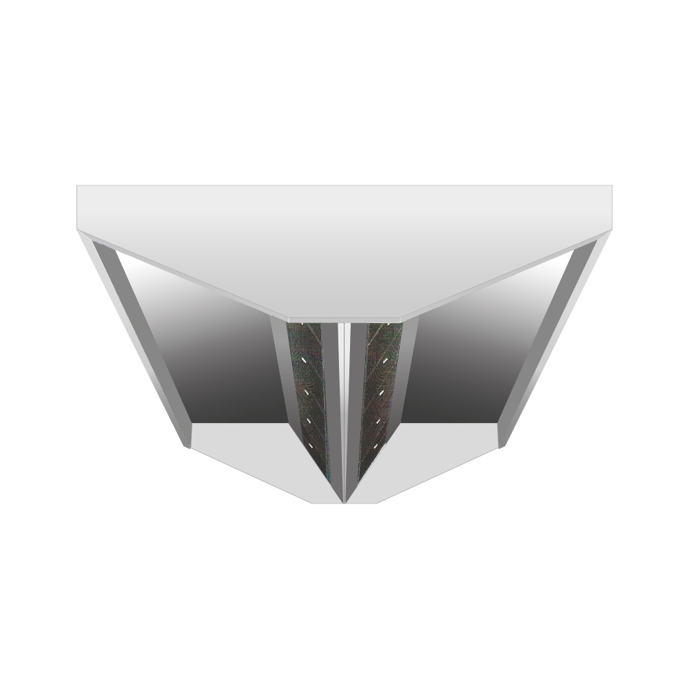 InoxAir Deckenhaube, 2.400 x 2.400 x 450mm, 2-teilig Image