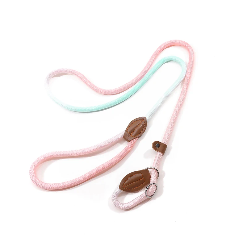 Regenbogen Nylon Hunde leinen Haustier Hunde Kette Traktion sseil führt zum Laufen freie Hände Seil kette für kleine große Hunde neu Image