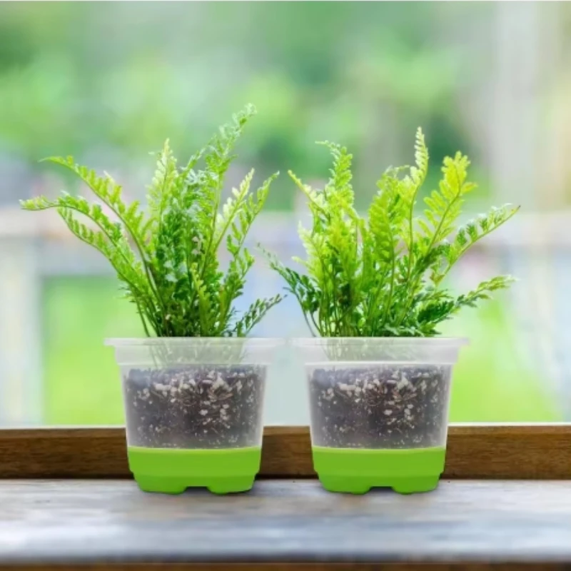 Verstärkter transparenter Setzlingstopf mit Silikonbasis für einfache Transplantation, transparenter Kunststoff-Pflanztopf für wiederverwendbare Samen Image