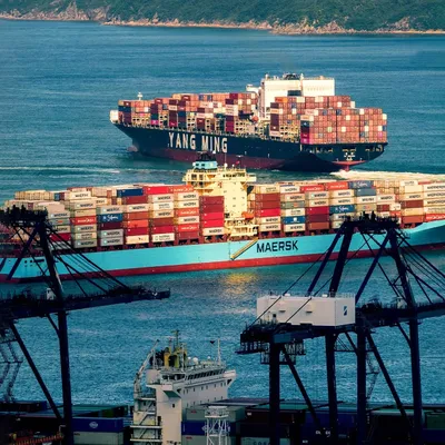 Tariff Fees, Value-added Tax Fees, Customs Clearance Fees