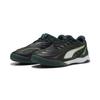 Fußballschuh PUMA "IBERO Futsalschuhe Erwachsene", Gr. 42.5, schwarz grün terrain fizzy light gelb, Obermaterial: Synthetik, Textil; Futter: Textil; Innensohle: Textil; Laufsohle: Gummi, Schuhe