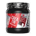 Frey Nutrition Creatin Monohydrat, 1er Pack (1 x 500 g)